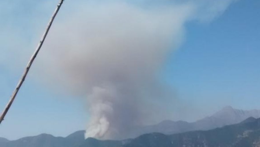 Incendio forestal afecta a la comuna de Hijuelas en la Región de Valparaíso