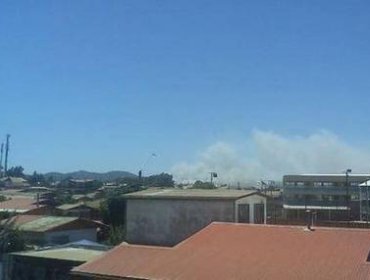 Decretan alerta roja en Quilpué y Villa Alemana por incendio forestal