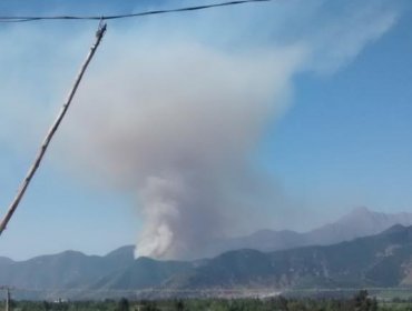 Incendio forestal afecta a la comuna de Hijuelas en la Región de Valparaíso