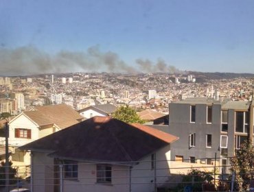 Declaran alerta roja tras incendio en sector de Rodelillo en Valparaíso