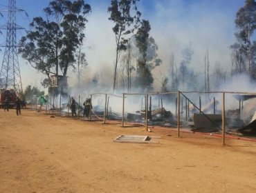 Nuevo foco de incendio se abrió en Jardín Botánico en Viña del Mar