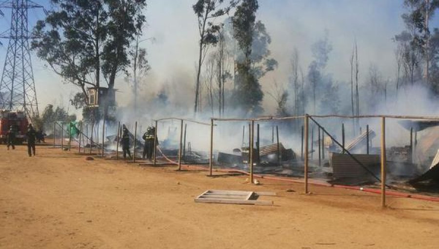 Nuevo foco de incendio se abrió en Jardín Botánico en Viña del Mar