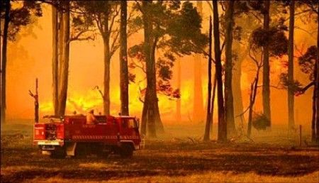 Un tribunal aprueba la indemnización récord por los incendios en Australia