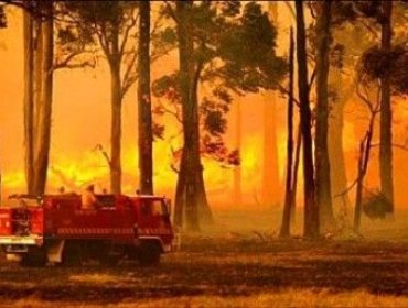 Un tribunal aprueba la indemnización récord por los incendios en Australia