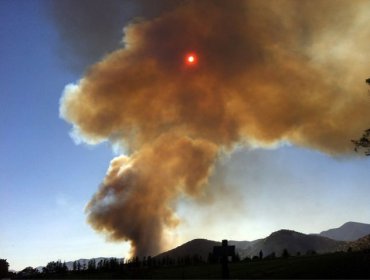 Alerta roja en la comuna de Melipilla por incendio