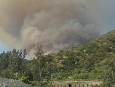 Más de mil incendios afectaron nuestro país en los últimos tres meses