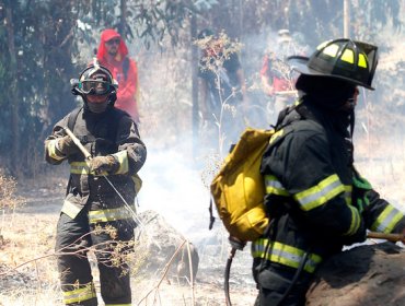 Sigue alerta roja por incendios forestales en la V Región