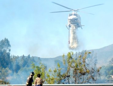 Onemi levanta alerta roja y decreta amarilla en La Ligua por incendio forestal