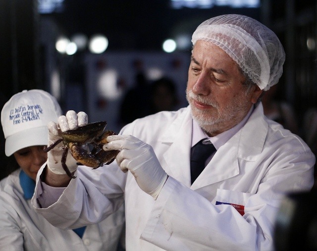 Realizan fiscalización de pescados y mariscos en el Mercado Central