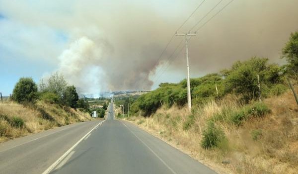 Alerta roja en Litueche por incendio forestal en la zona que podría llegar a sectores habitados