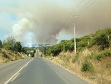 Alerta roja en Litueche por incendio forestal en la zona que podría llegar a sectores habitados