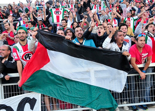 Estadio de Palestino podría estar construido para el año 2016