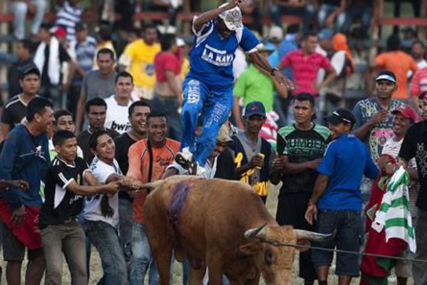 Video: Impacto en Colombia causa asesinato de un toro a cuchillos y palos