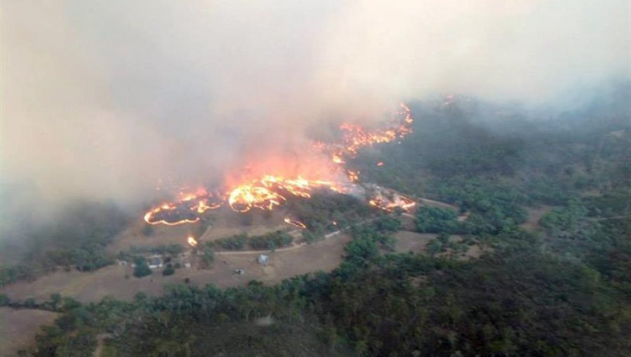 29 Heridos y 26 viviendas calcinadas en los incendios del sur de Australia