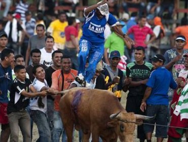 Video: Impacto en Colombia causa asesinato de un toro a cuchillos y palos