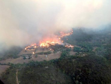 29 Heridos y 26 viviendas calcinadas en los incendios del sur de Australia