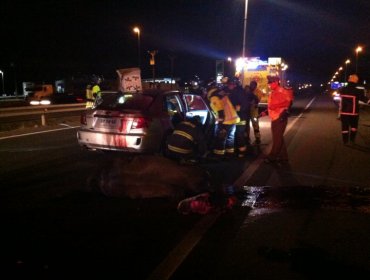 Impresionante estampida de caballos en Ruta 5 sur deja tres lesionados y un animal muerto