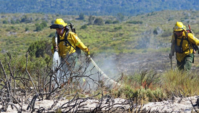 Gran incendio afecta a Parque Nacional Patagónico argentino