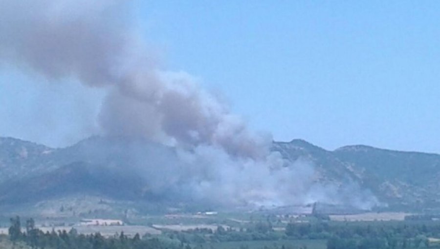 Declaran alerta roja por incendio forestal que afecta a Lolol