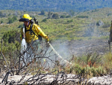 Gran incendio afecta a Parque Nacional Patagónico argentino