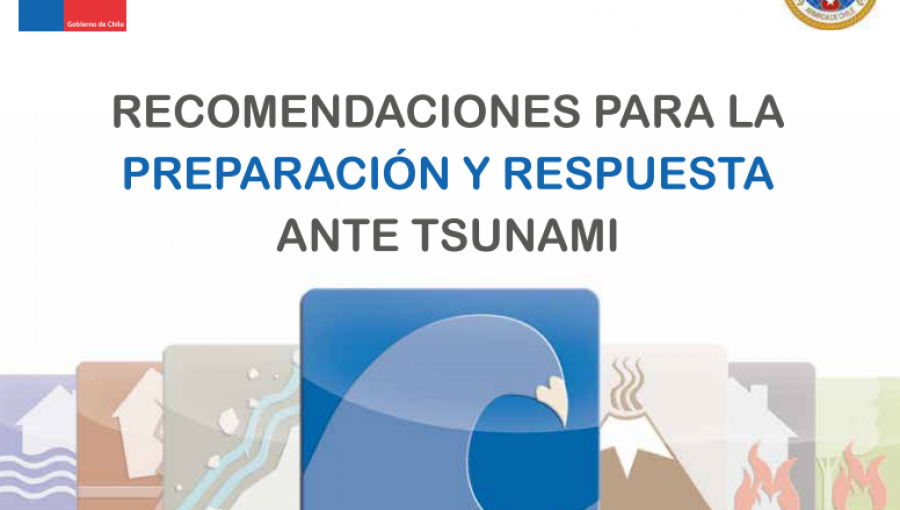 Lanzan manual que enseña la forma de enfrentar un tsunami