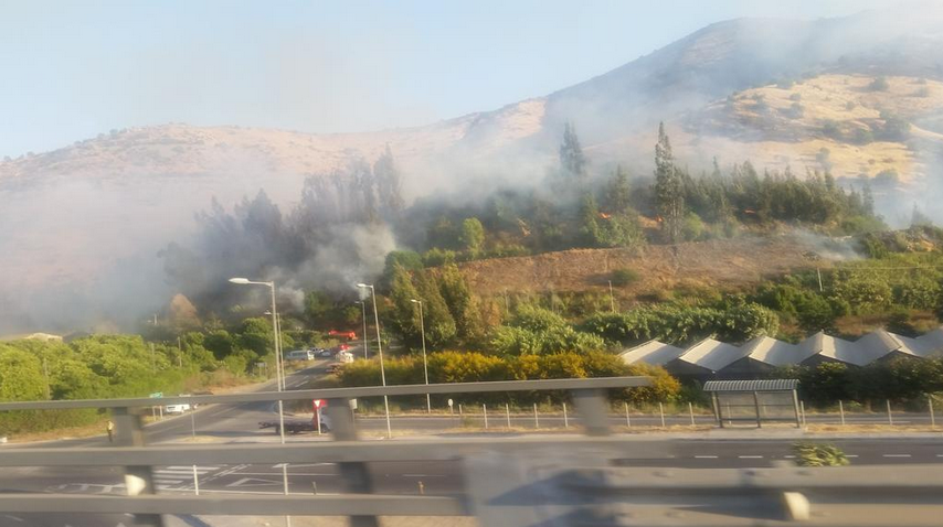 Onemi decreta Alerta Roja por incendio forestal en La Calera