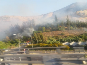 Onemi decreta Alerta Roja por incendio forestal en La Calera