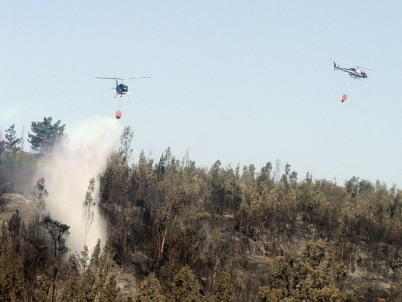 Onemi declaró alerta roja en la comuna de Mostazal por incendios forestales