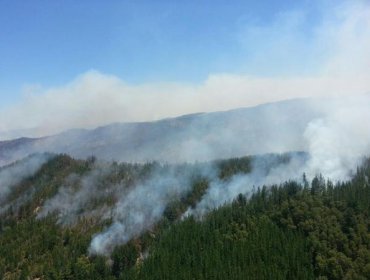 Incendio en Región del Maule registra 7 casas destruidas y más de 28 damnificados