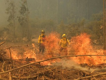 Levantan Alerta Roja en la comuna de Valparaíso tras controlar incendio en “Las Tablas”