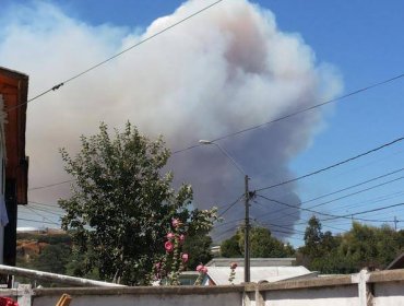 Equipos de emergencia trabajan en incendio forestal en Coronel