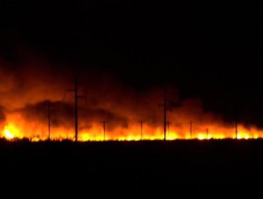 Controlan incendio que arrasó 60.000 hectáreas en el sur de Argentina