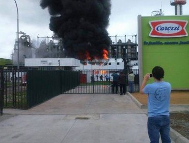 Incendio afectó planta frutícola de Agrozzi en Teno