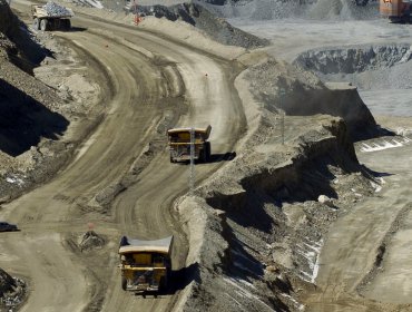 Minera Anglo American es multada en Chile por destrucción de bosque nativo