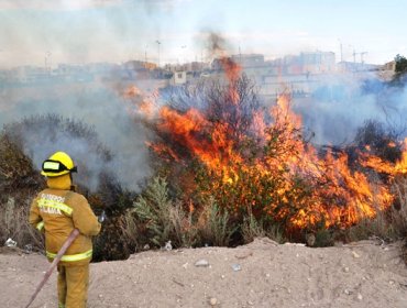 Onemi decreta alerta roja para la comuna de Peralillo por incendio forestal