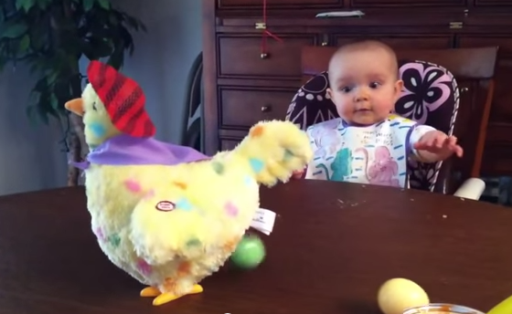 Mira la reacción de este bebé cuando ve a una gallina poner huevos