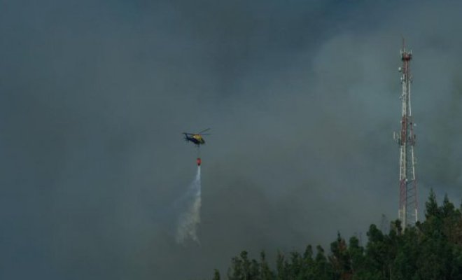 Onemi levanta alerta roja para Provincia de Concepción tras incendio forestal