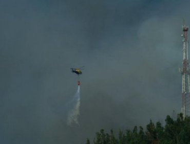 Onemi levanta alerta roja para Provincia de Concepción tras incendio forestal