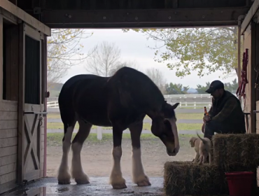 El comercial para el Super Bowl que ya emociona a todo el mundo