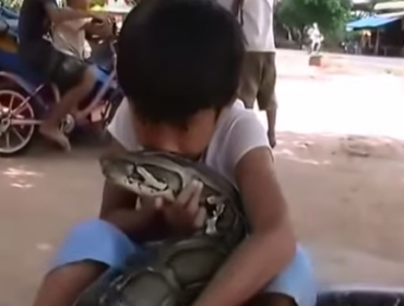 Video: Niño vive y duerme con serpiente pitón gigante