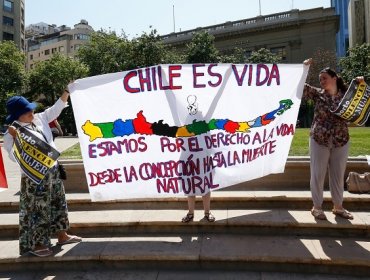 Diferentes agrupaciones protestan en contra de la medida de despenalizar el aborto