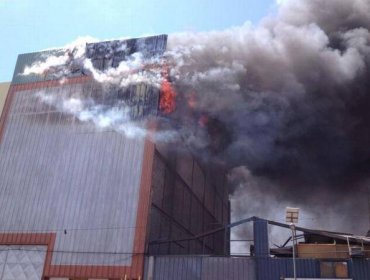 Incendio consumió galpones de la Zona Franca de Iquique