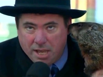 Video: Marmota muerde a alcalde en Estados Unidos en medio de acto público