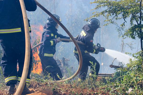 Condiciones de incendio forestal obligan a mantener alerta roja en Panguipulli