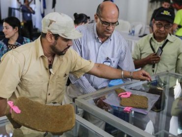 Entregan 15.000 piezas precolombinas encontradas en ruta del Canal Nicaragua