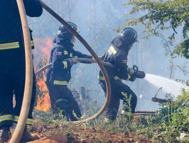 Condiciones de incendio forestal obligan a mantener alerta roja en Panguipulli