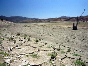 Advierten que sequía en la Región de Coquimbo es la más grave en casi 50 años