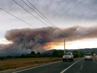 Incendio en Arauco totalmente fuera de control, foco se encuentra muy cerca de Celulosa Arauco