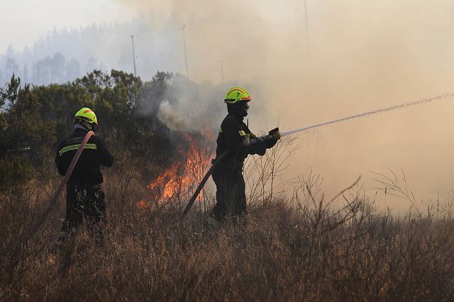 Onemi detalla situación de incendios forestales y nos descarta solicitar apoyo extranjero