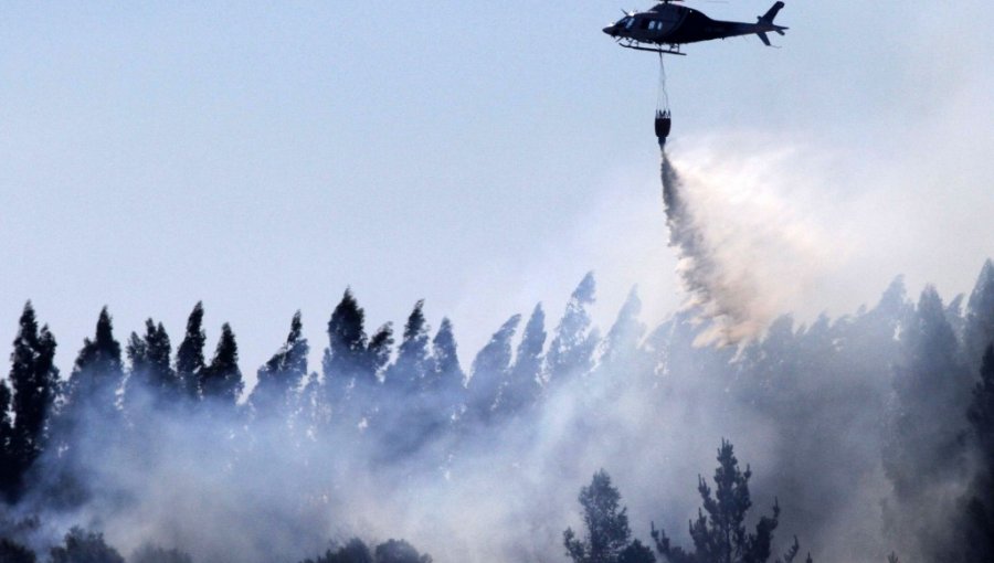 Onemi informa que 34 incendios forestales están activos: los más peligrosos afectan a Región del Biobío